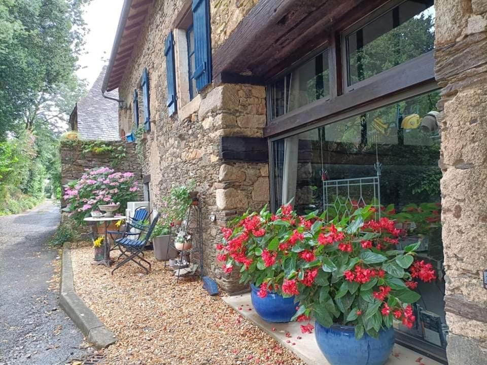 La Maison Bleue Juillac  Luaran gambar
