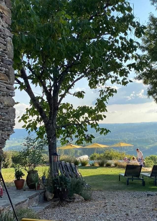 La Maison Bleue Juillac  Luaran gambar