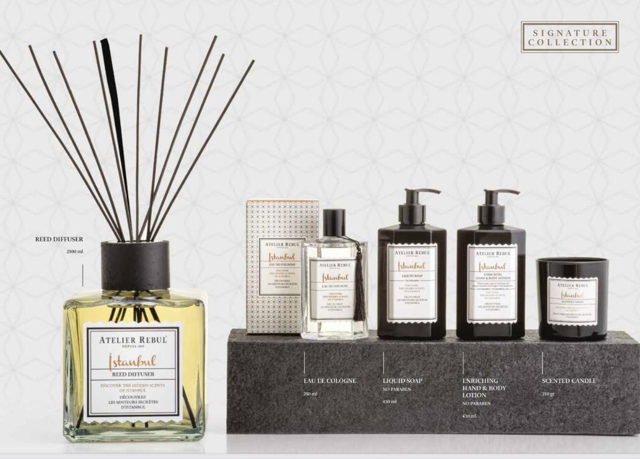 La Maison Bleue Juillac  Luaran gambar